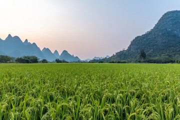 李寨村车牌号是多少